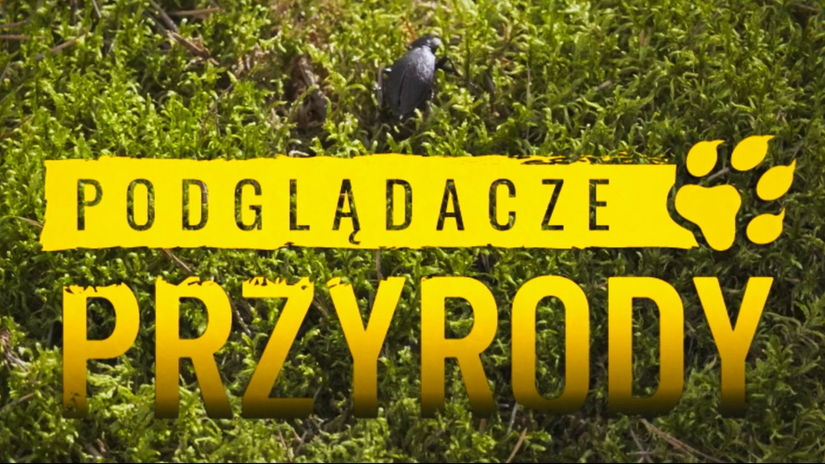 Podglądacze Przyrody